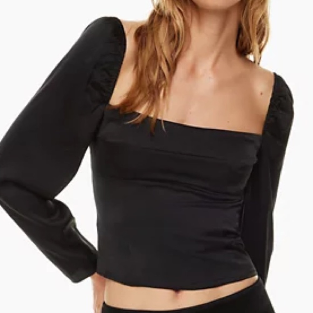 Aritzia Fate Blouse - image 1